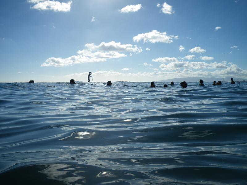 Illustration for article titled Review: Pentax W60 Waterproof Camera Catching Whale Sharks